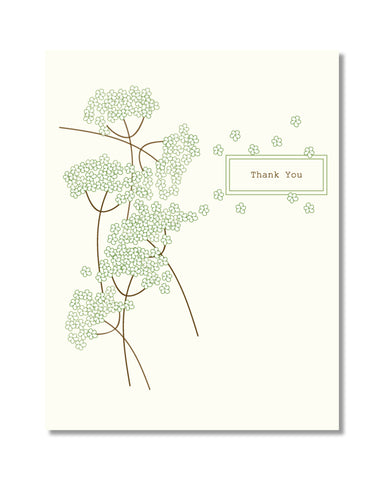 T170 TY White Blossoms